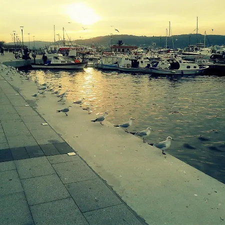 Kinzi House Canakkale